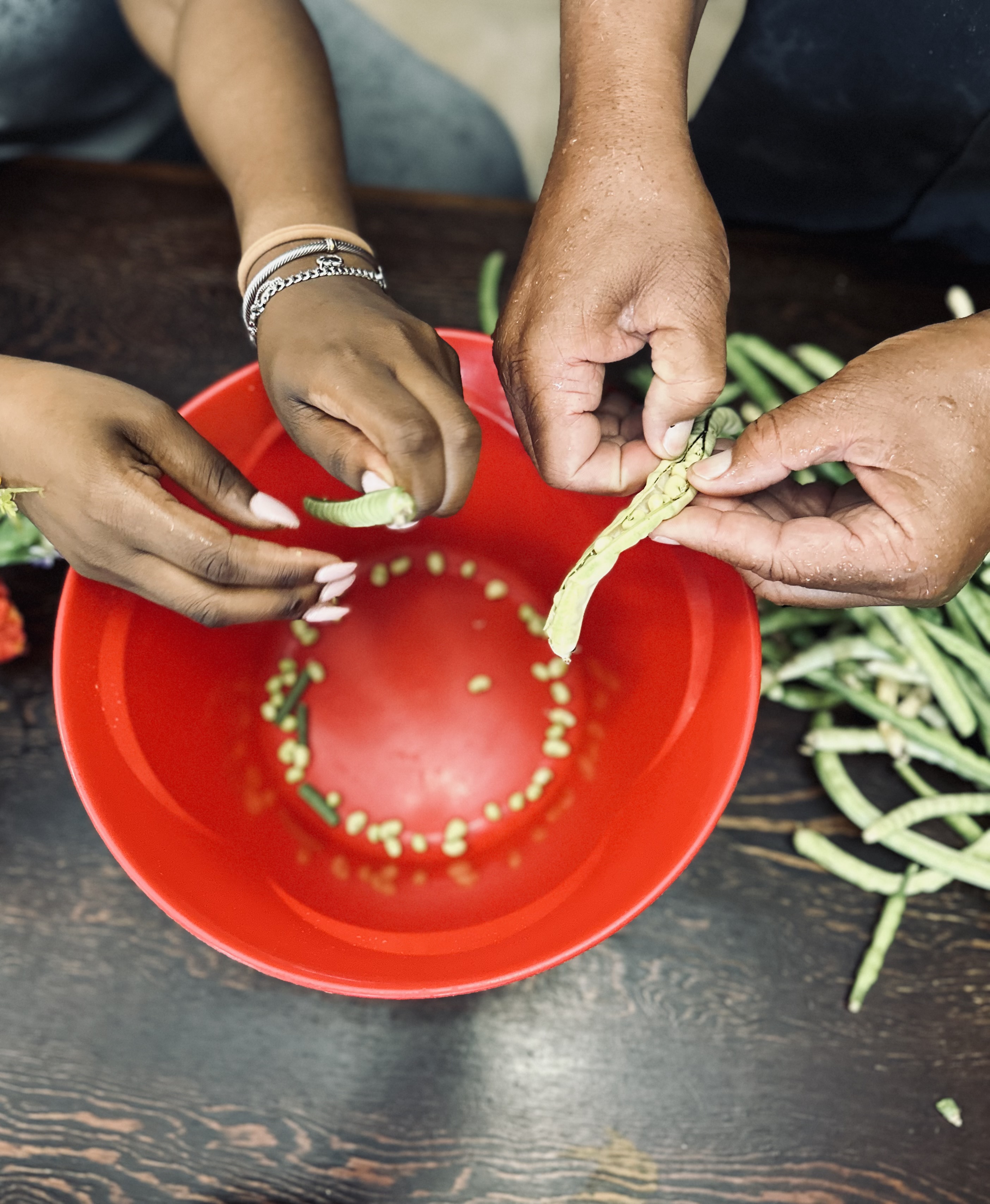 Banks family shelling peas, generational farming